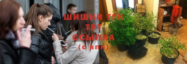 Альфа ПВП Аркадак