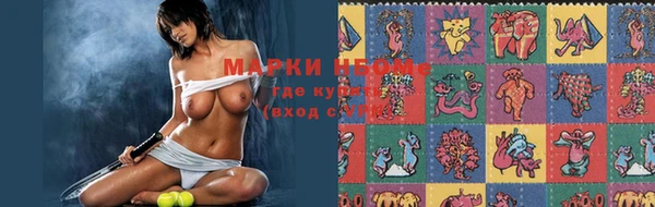 Альфа ПВП Аркадак