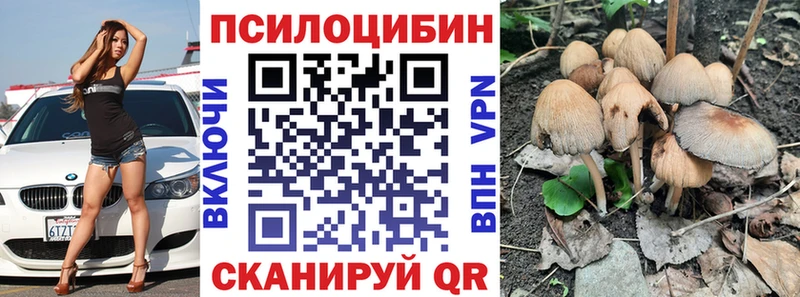 Псилоцибиновые грибы Psilocybe Пудож